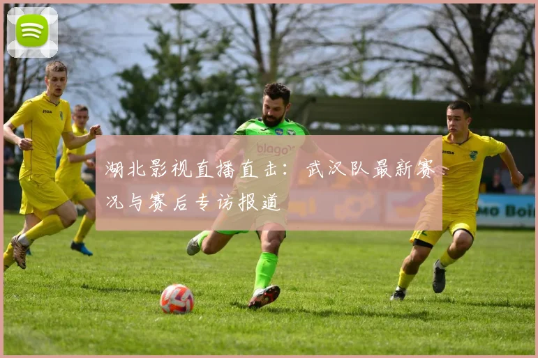 湖北影视直播直击：武汉队最新赛况与赛后专访报道