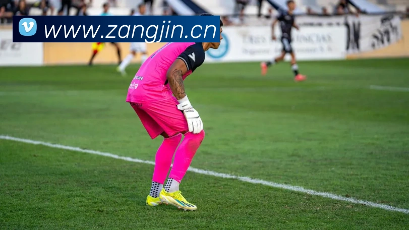 开云官方版入口APP 体育赛事宣传图